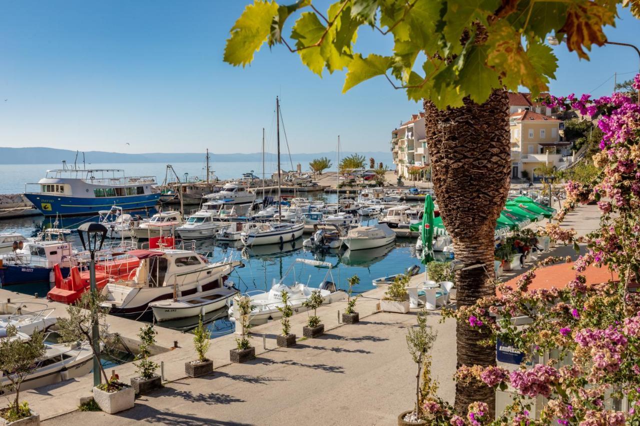 Apartment Top Terrace Podgora Dış mekan fotoğraf